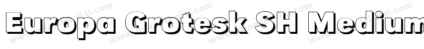 Europa Grotesk SH Medium字体转换